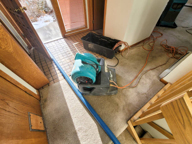 Best Local water damage restoration  in Southlake, TX