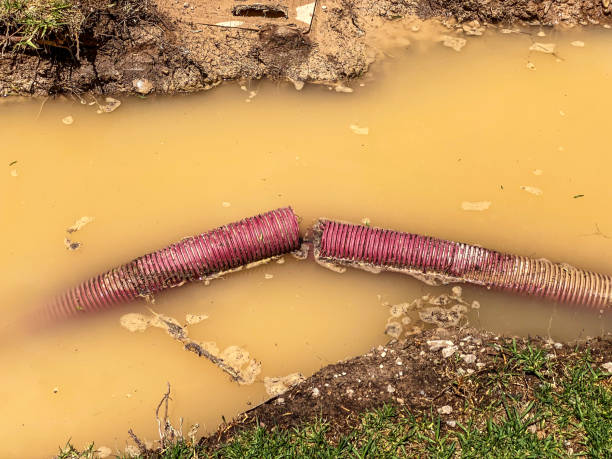 Best Emergency water extraction  in Southlake, TX