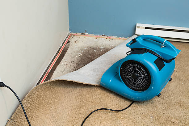Best 24/7 water damage repair  in Southlake, TX